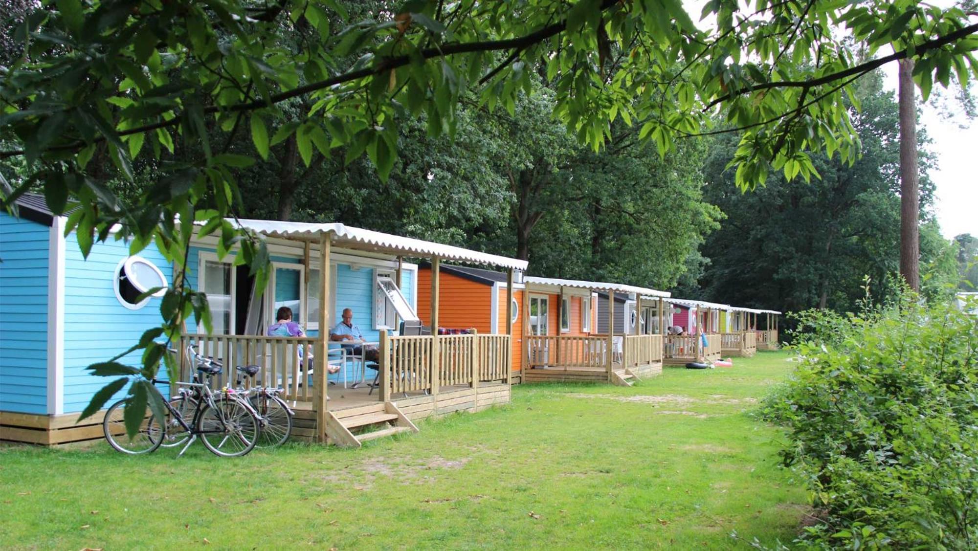 Molecaten Park Landgoed Ginkelduin Leersum Quarto foto