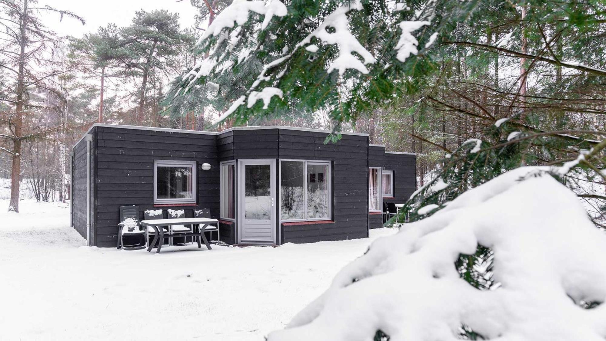 Molecaten Park Landgoed Ginkelduin Leersum Quarto foto