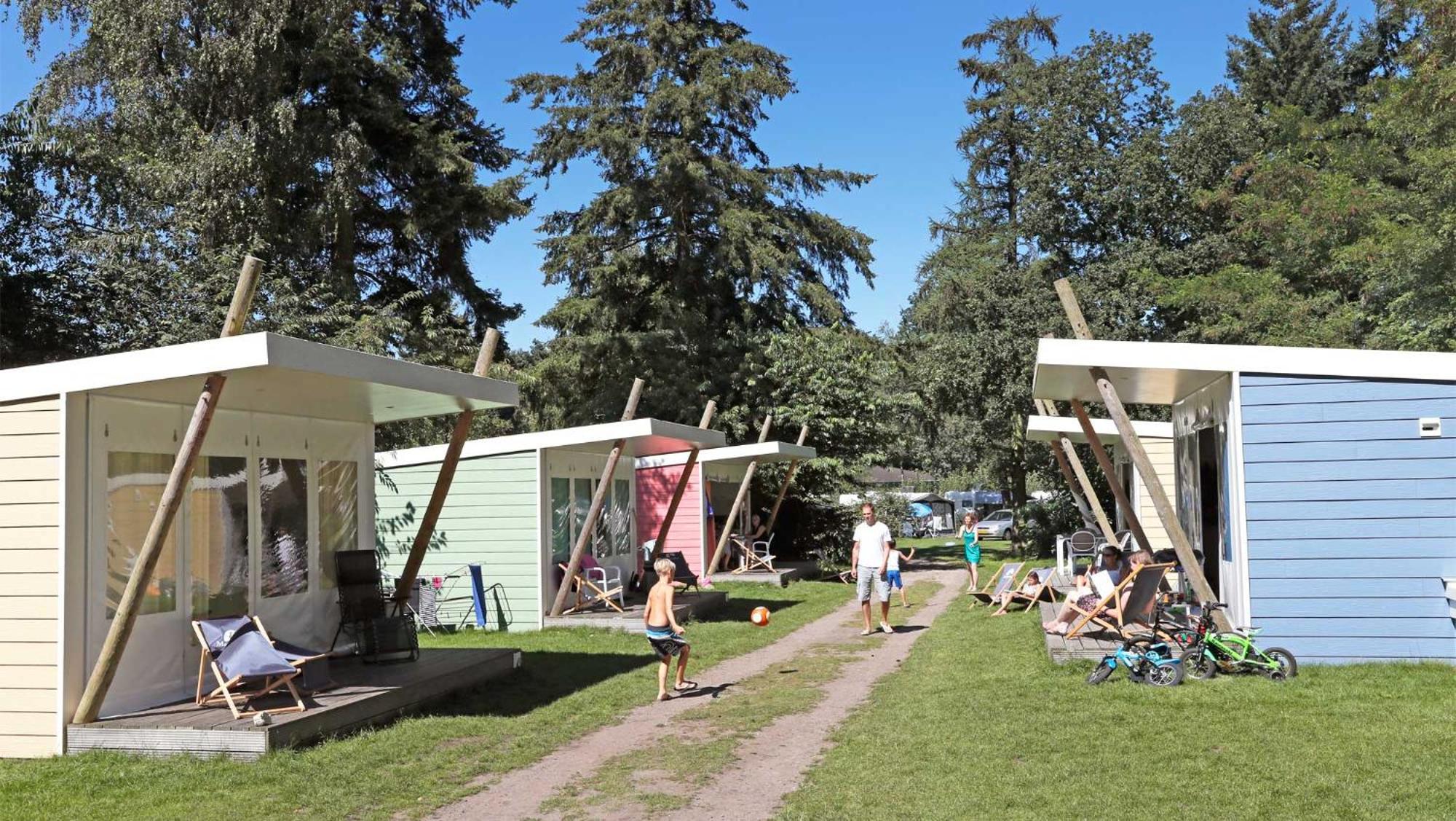 Molecaten Park Landgoed Ginkelduin Leersum Quarto foto