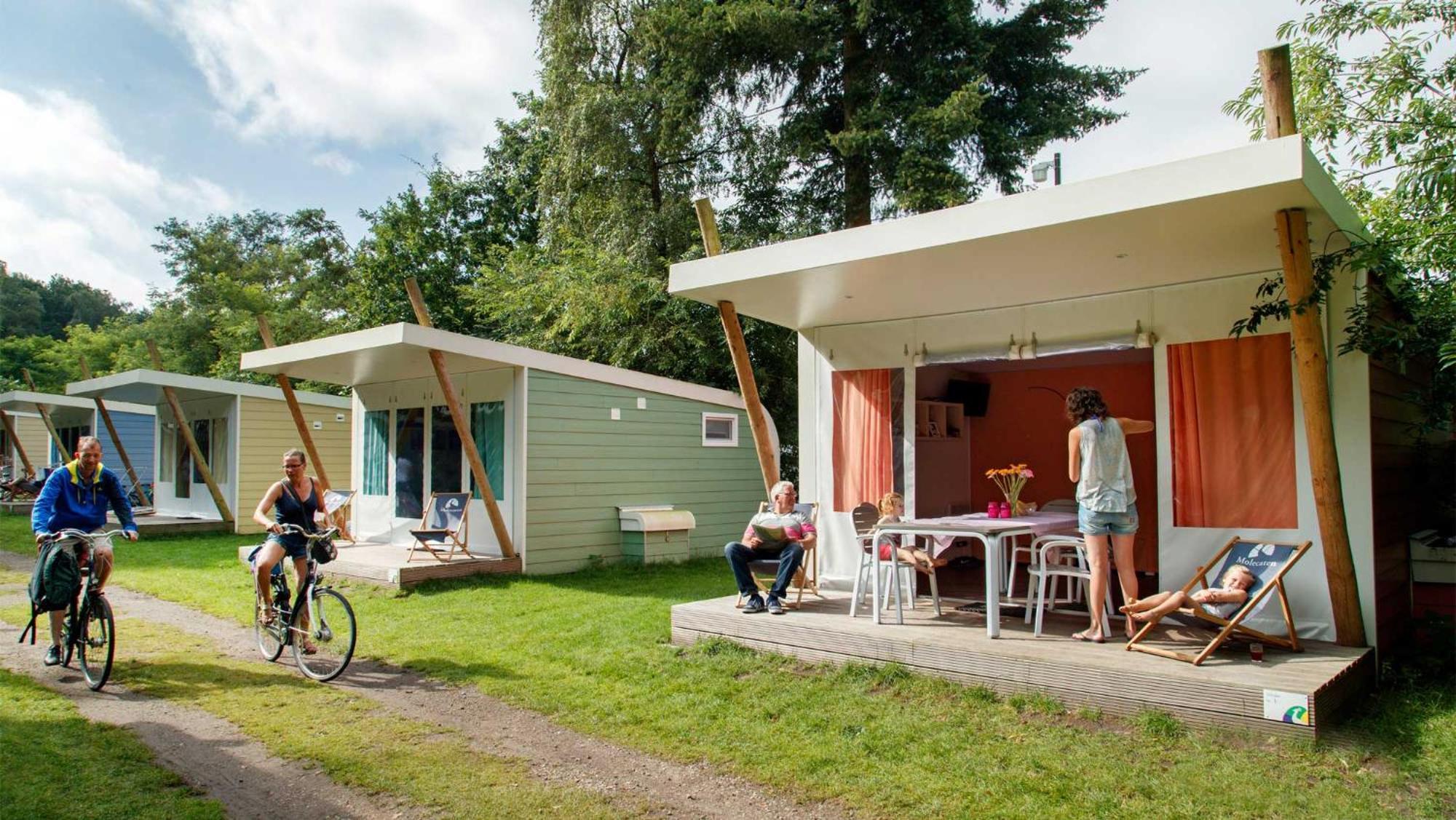 Molecaten Park Landgoed Ginkelduin Leersum Quarto foto